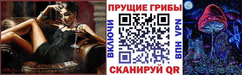 Галлюциногенные грибы Psilocybe  Купить где  Каменка 